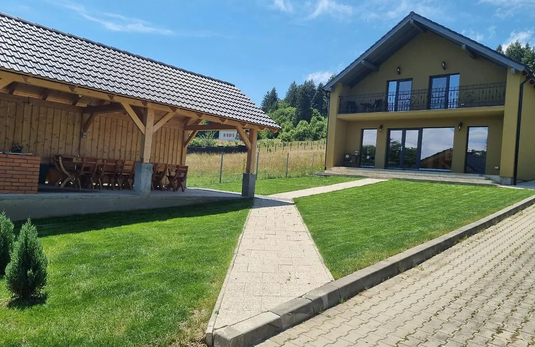 Vila Lac-1